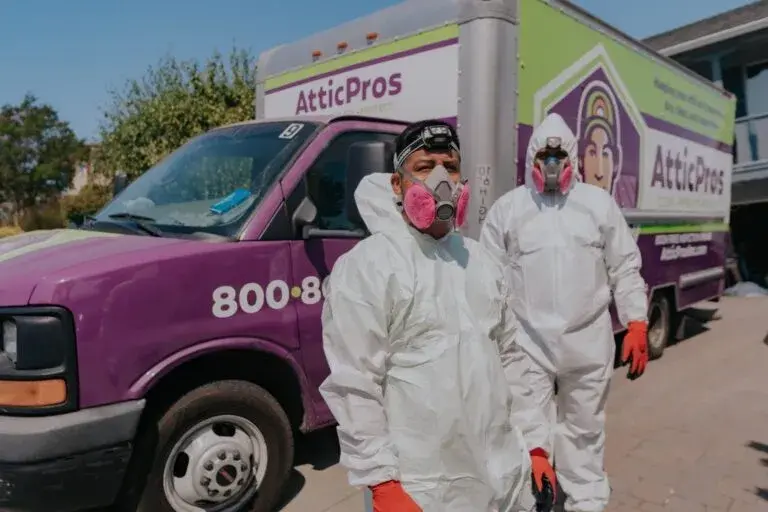 Rodent Removal Services