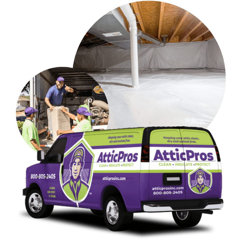 Crawl Space Cleaning