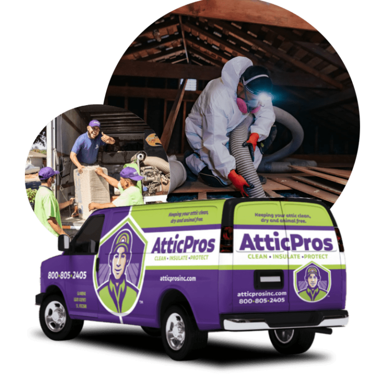 Attic Services