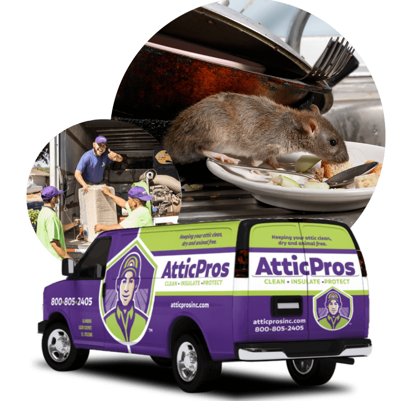 Rodent Control Antelope